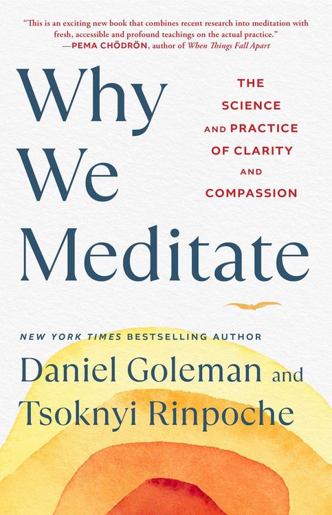 Produktbild: Why We Meditate