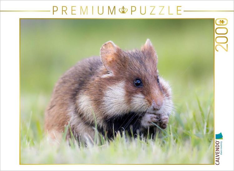 Produktbild: CALVENDO Puzzle Feldhamster | 2000 Teile Lege-Gr&ouml;&szlig;e 90x67cm Foto-Puzzle f&uuml;r gl&uuml;ckliche Stunden