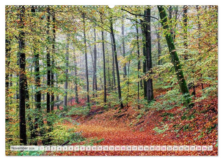 Produktbild: Idyllische Wanderwege im Bergischen Land (hochwertiger Premium Wandkalender 2026 DIN A2 quer), Kunstdruck in Hochglanz