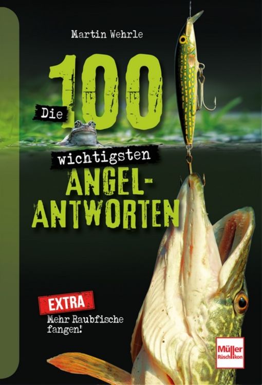 Produktbild: Die 100 wichtigsten Angel-Antworten