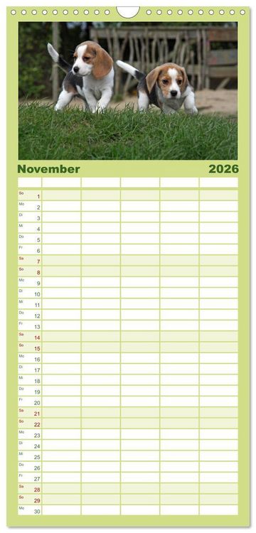 Produktbild: Familienplaner 2026 - Der Hundewelpen-Geburtstagskalender mit 5 Spalten (Wandkalender, 21 x 45 cm) CALVENDO