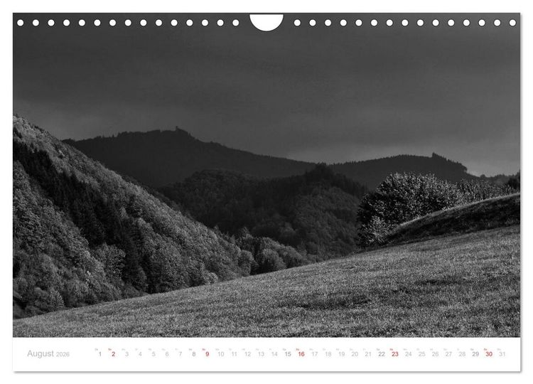 Produktbild: Mystischer Schwarzwald (Wandkalender 2026 DIN A4 quer), CALVENDO Monatskalender