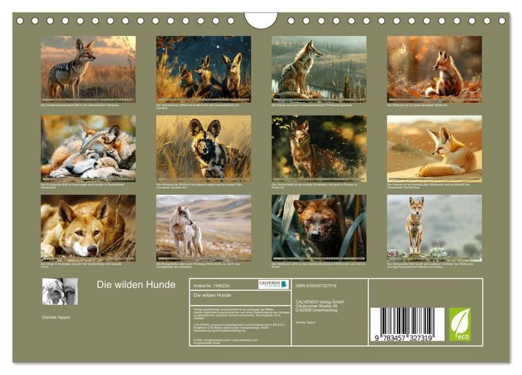 Produktbild: Die wilden Hunde (Wandkalender 2026 DIN A4 quer), CALVENDO Monatskalender