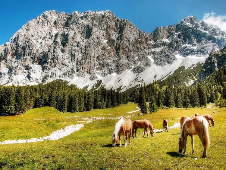 Produktbild: CALVENDO Puzzle Zugspitze - Tirol - Ehrwald - &Ouml;sterreich | 1000 Teile Lege-Gr&ouml;&szlig;e 64x48cm Foto-Puzzle f&uuml;r gl&uuml;ckliche Stunden