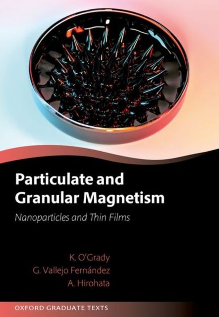 Produktbild: Particulate and Granular Magnetism