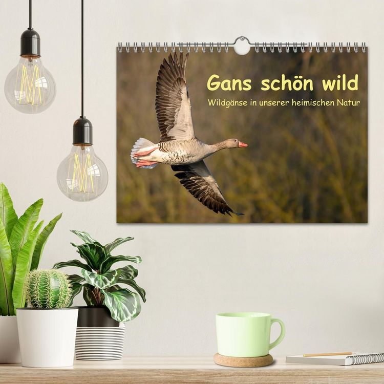Produktbild: Gans sch&ouml;n wild (Wandkalender 2027 DIN A4 quer), CALVENDO Monatskalender