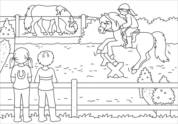 Produktbild: Mein sch&ouml;nstes Malbuch. Ponyhof