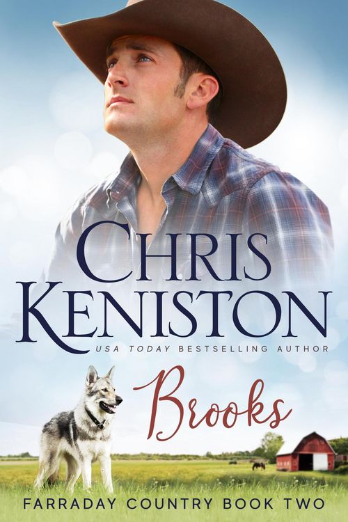 Produktbild: Brooks (Farraday Country Texas, #2)