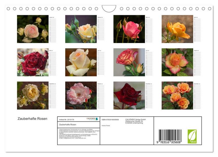 Produktbild: Zauberhafte Rosen (Wandkalender 2026 DIN A4 quer), CALVENDO Monatskalender