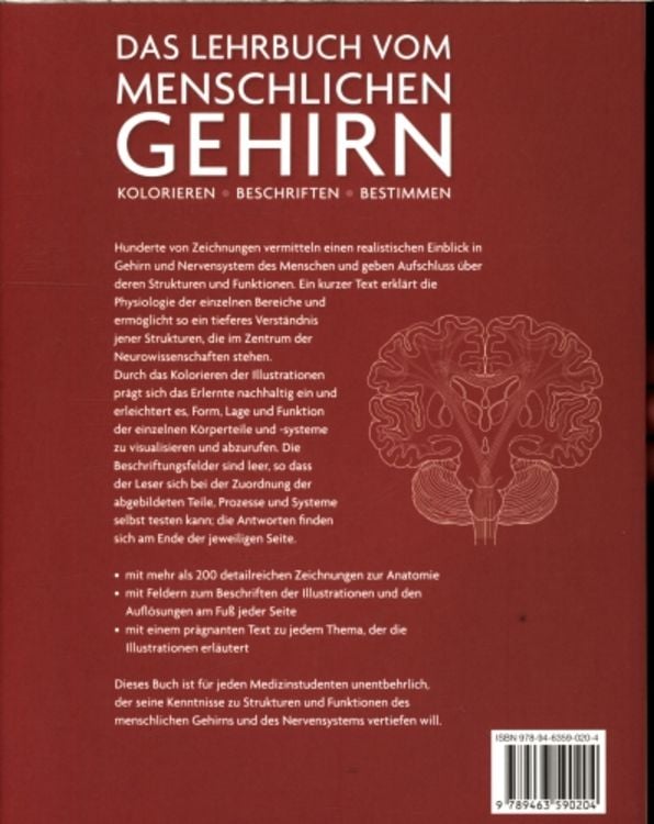 Produktbild: DAS LEHRBUCH VOM MENSCHLICHEN GEHIRN