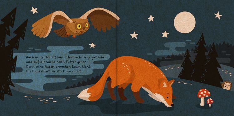 Produktbild: Meine Waldfreunde. Der kleine Fuchs