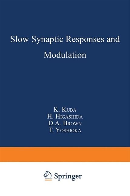 Produktbild: Slow Synaptic Responses and Modulation