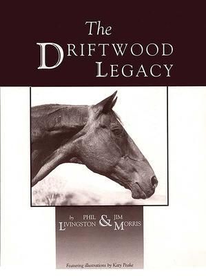 Produktbild: The Driftwood Legacy