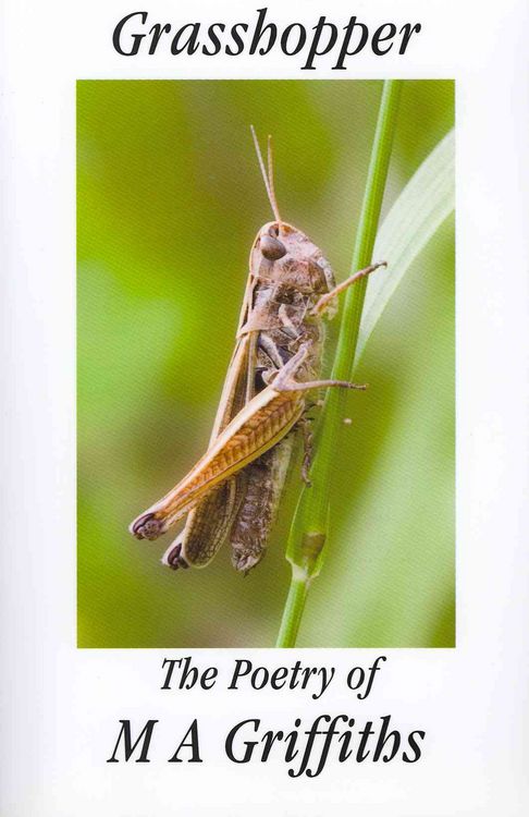 Produktbild: Grasshopper
