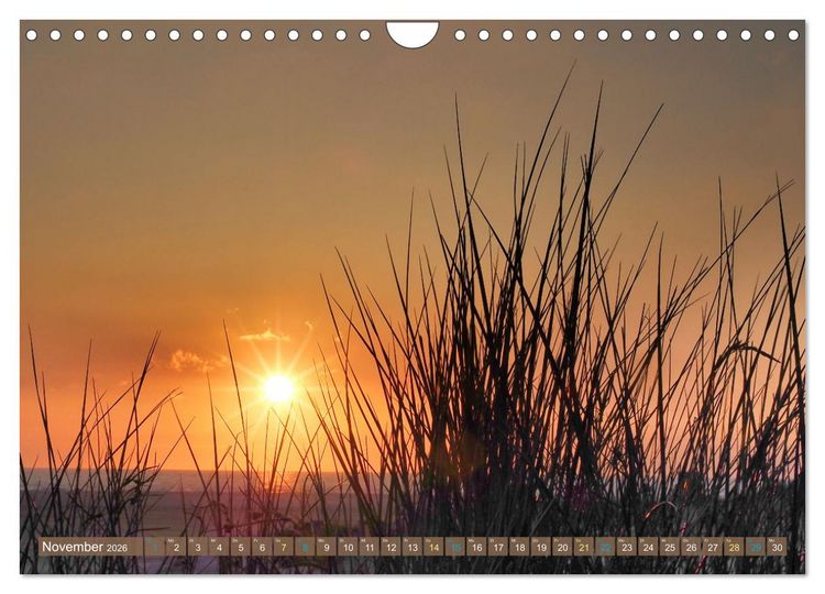 Produktbild: BORKUM Entdeckungen (Wandkalender 2026 DIN A4 quer), CALVENDO Monatskalender