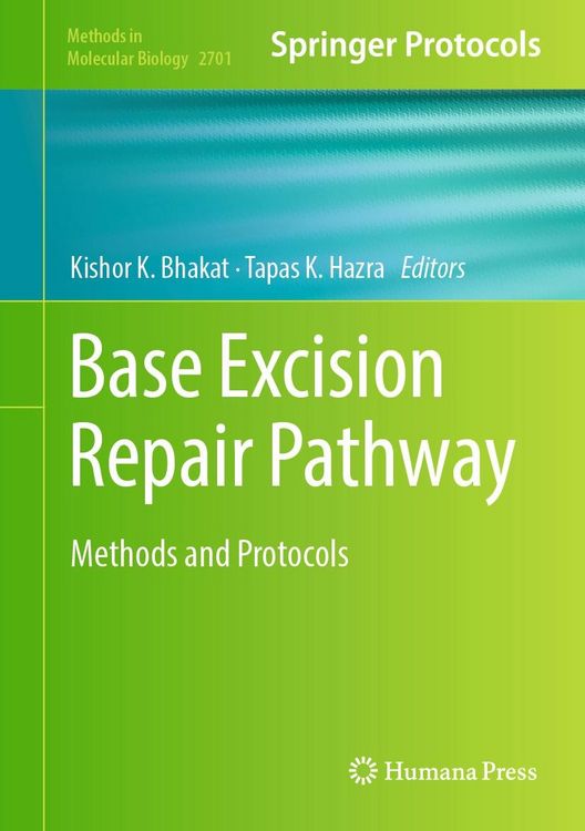 Produktbild: Base Excision Repair Pathway