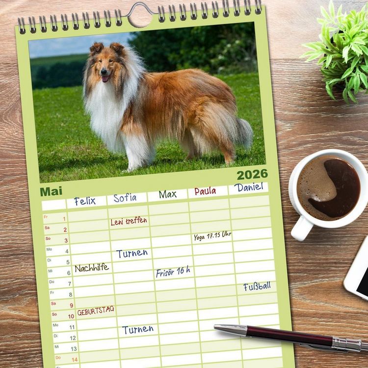 Produktbild: Familienplaner 2026 - Faszination Collie 2026 mit 5 Spalten (Wandkalender, 21 x 45 cm) CALVENDO