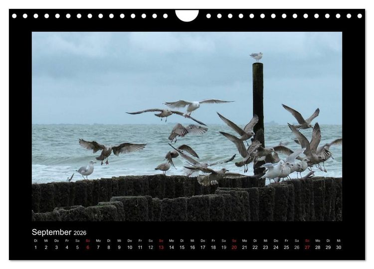Produktbild: An der Nordsee (Wandkalender 2026 DIN A4 quer), CALVENDO Monatskalender