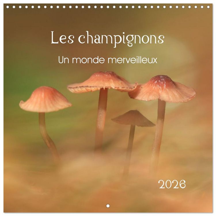 Produktbild: Les champignons - Un monde merveilleux (Calendrier mural carr&eacute; 2026 30x30 cm) Calendrier double avec une page pour vos prises de notes