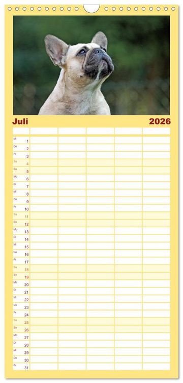Produktbild: Familienplaner 2026 - Franz&ouml;sische Bulldoggen - Schutzengel auf 4 Pfoten mit 5 Spalten (Wandkalender, 21 x 45 cm) CALVENDO