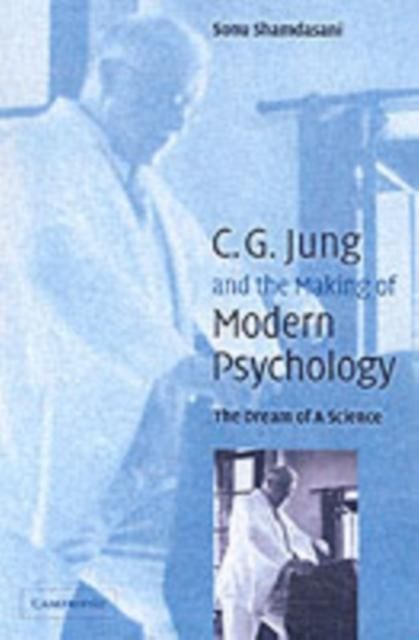 Produktbild: Jung and the Making of Modern Psychology