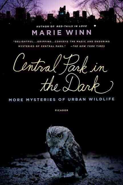 Produktbild: Central Park in Dark