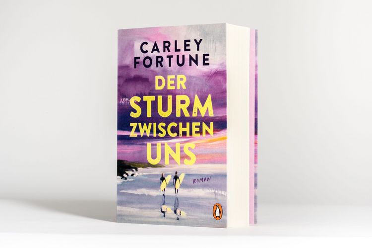 Produktbild: Der Sturm zwischen uns