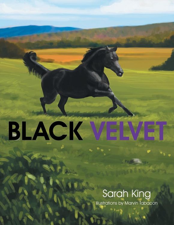 Produktbild: Black Velvet
