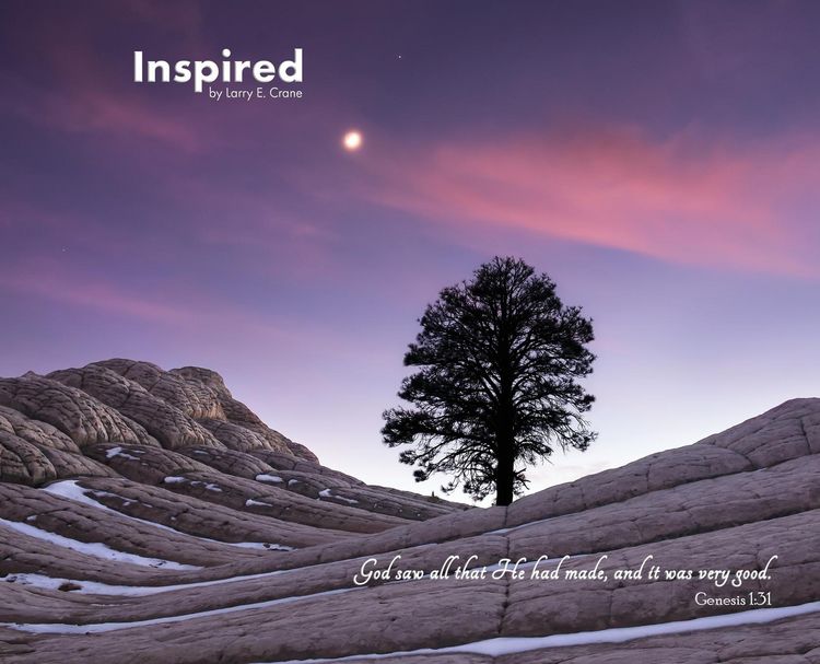 Produktbild: Inspired