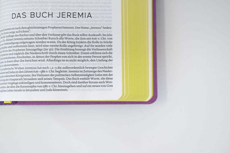Produktbild: Die Bibel. Senfkorn, Handschmeichler lila
