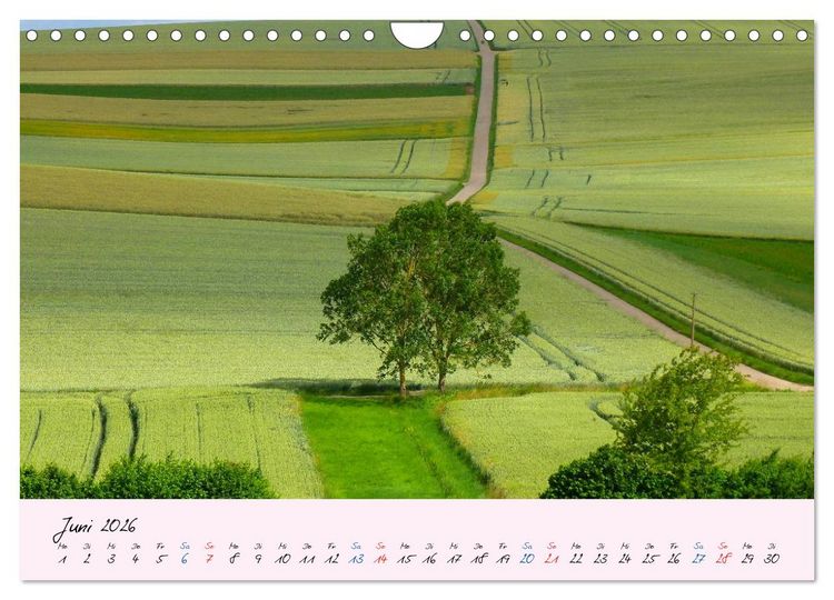 Produktbild: Wald und Baum 2026 (Wandkalender 2026 DIN A4 quer), CALVENDO Monatskalender
