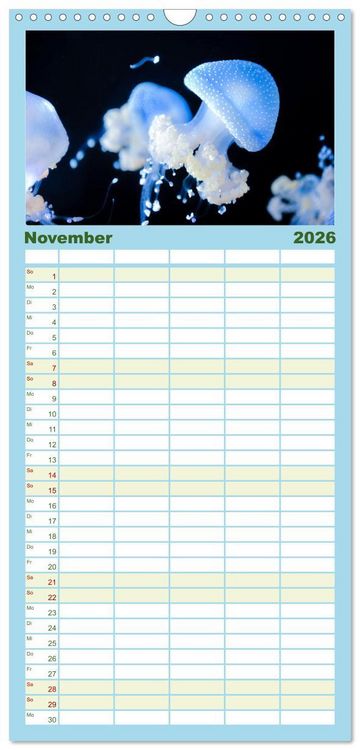 Produktbild: Familienplaner 2026 - Tiefsee - Ein Abenteuer ins Unbekannte. mit 5 Spalten (Wandkalender, 21 x 45 cm) CALVENDO