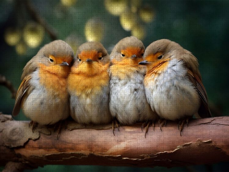 Produktbild: CALVENDO Puzzle Ein Motiv aus dem Kalender Wenn sie schlafen | 1000 Teile Lege-Gr&ouml;&szlig;e 64x48cm Foto-Puzzle f&uuml;r gl&uuml;ckliche Stunden
