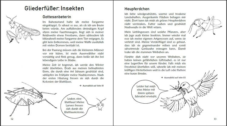 Produktbild: Ausmalspaß + Wissen: Fantatiere - Malbuch ab 6 Jahre. Artenvielfalt artgerecht erkunden für die ganze Familie. Empfohlen vom Naturschutzbund Österreic