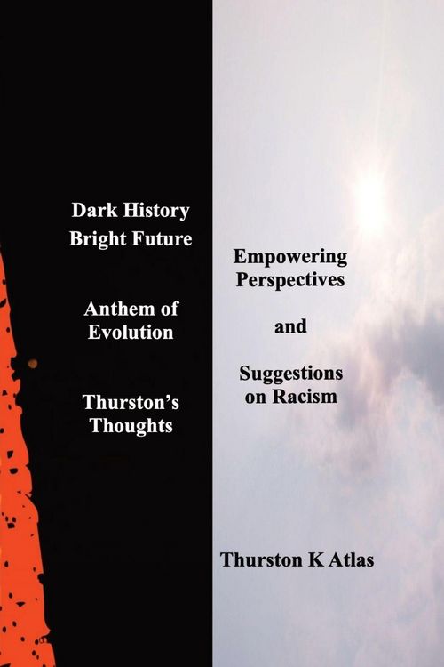 Produktbild: Dark History Bright Future