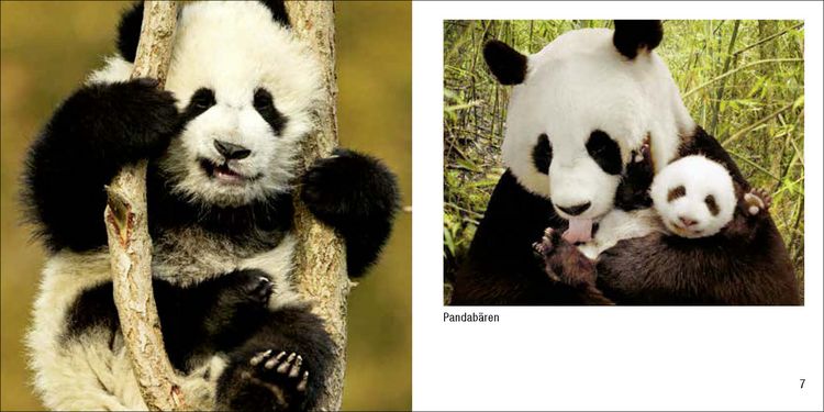 Produktbild: Tierbabys &ndash; Book To Go