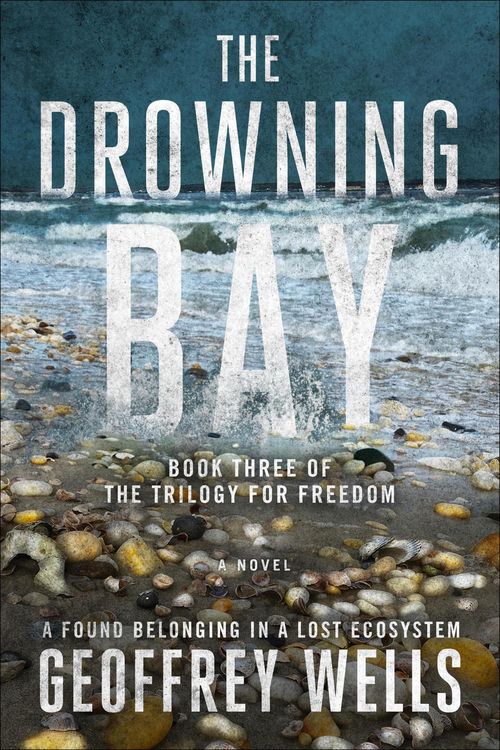 Produktbild: The Drowning Bay (The Trilogy for Freedom, #3)