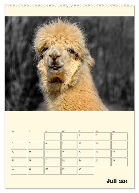 Produktbild: Putzige Alpakas (hochwertiger Premium Wandkalender 2026 DIN A2 hoch), Kunstdruck in Hochglanz