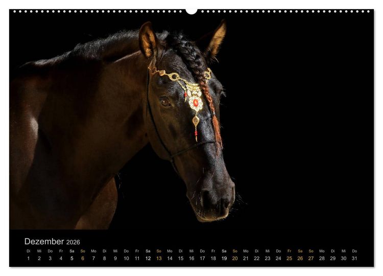 Produktbild: Magische Momente - Pferde Horses Caballos (Wandkalender 2026 DIN A2 quer), CALVENDO Monatskalender