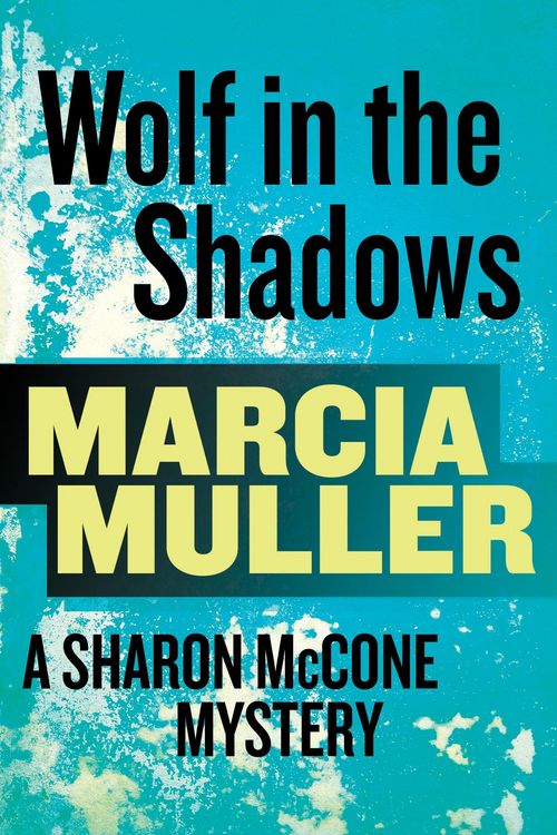 Produktbild: Wolf in the Shadows