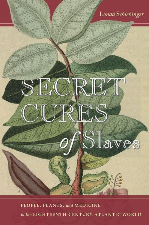 Produktbild: Secret Cures of Slaves