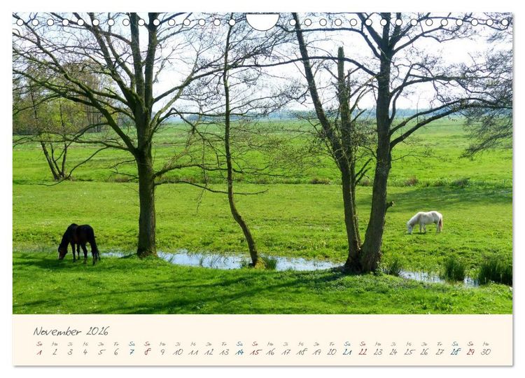 Produktbild: Bremer Blockland - Landleben in der Gro&szlig;stadt (Wandkalender 2026 DIN A4 quer), CALVENDO Monatskalender