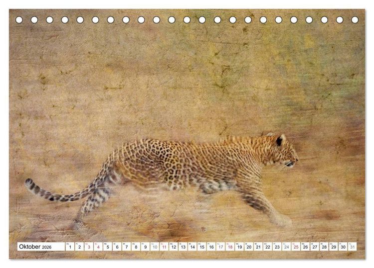 Produktbild: Emotionale Momente: African Dreams (Tischkalender 2026 DIN A5 quer), CALVENDO Monatskalender