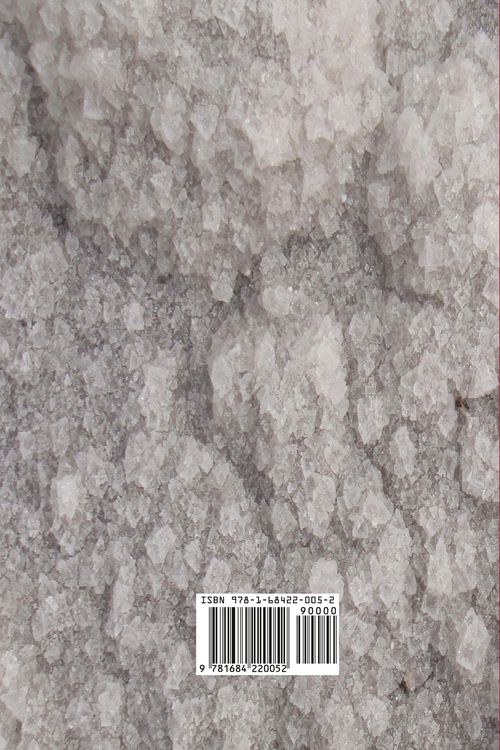 Produktbild: The Price of Salt
