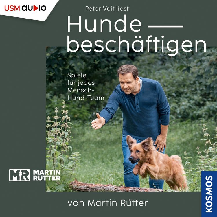 Produktbild: Hunde besch&auml;ftigen von Martin R&uuml;tter