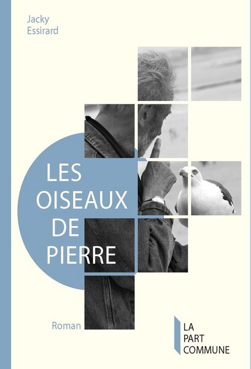 Produktbild: Oiseaux de pierre