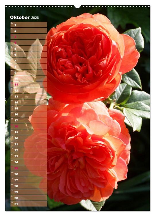 Produktbild: Rosen f&uuml;r DICH / Geburtstagskalender (Wandkalender 2026 DIN A2 hoch), CALVENDO Monatskalender