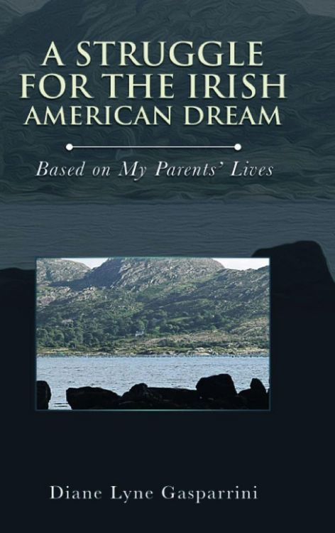 Produktbild: A Struggle for the Irish American Dream