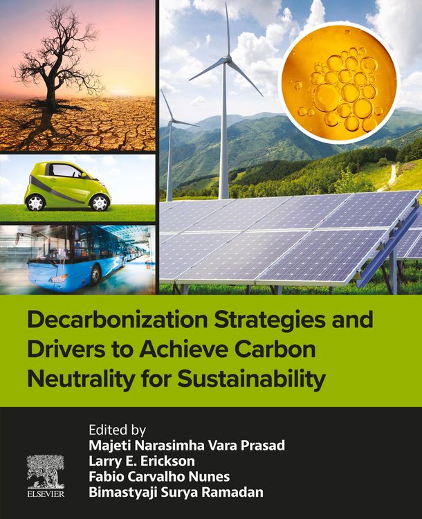 Produktbild: Decarbonization Strategies and Drivers to Achieve Carbon Neutrality for Sustainability