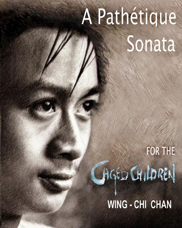 Produktbild: A Path&eacute;tique Sonata For The Caged Children